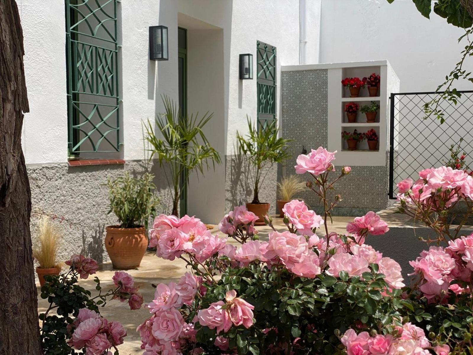 Les Filles Hotel Deltebre Ngoại thất bức ảnh