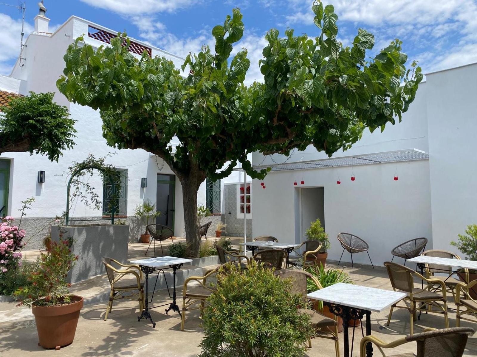 Les Filles Hotel Deltebre Ngoại thất bức ảnh